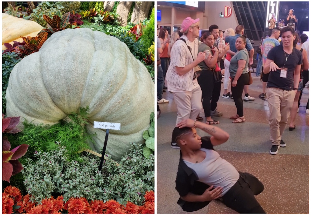 Josep Jover’s Creative LIAisons Diary #3: Shadow judging, Golf, Giant Pumpkins and Casino losses